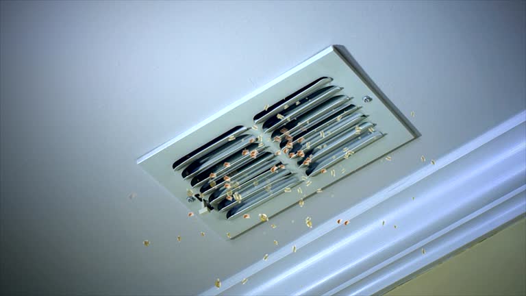 Best Emergency Air Duct Cleaning  in Ladoga, IN