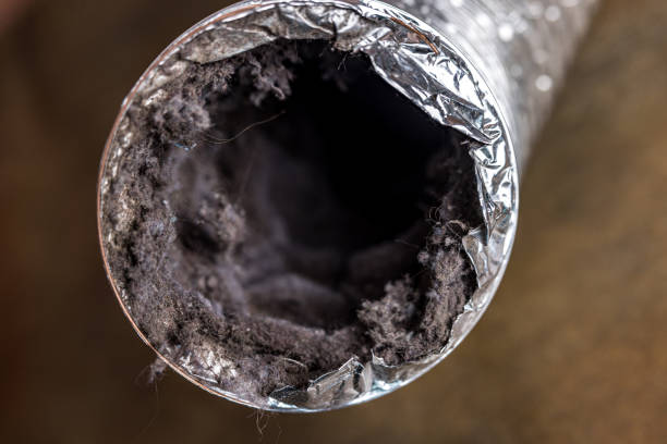 Best Affordable Duct Cleaning Services  in Ladoga, IN