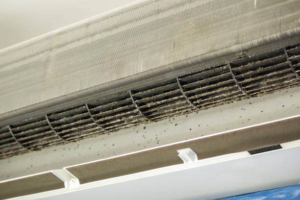 Best Affordable HVAC Duct Cleaning  in Ladoga, IN